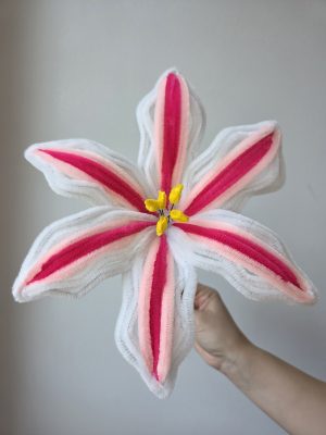 Belo-roze Ljiljan